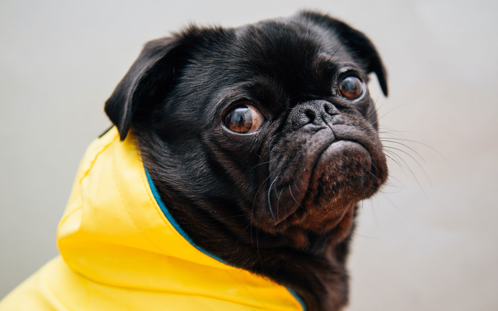 Klagen is vermoeiend